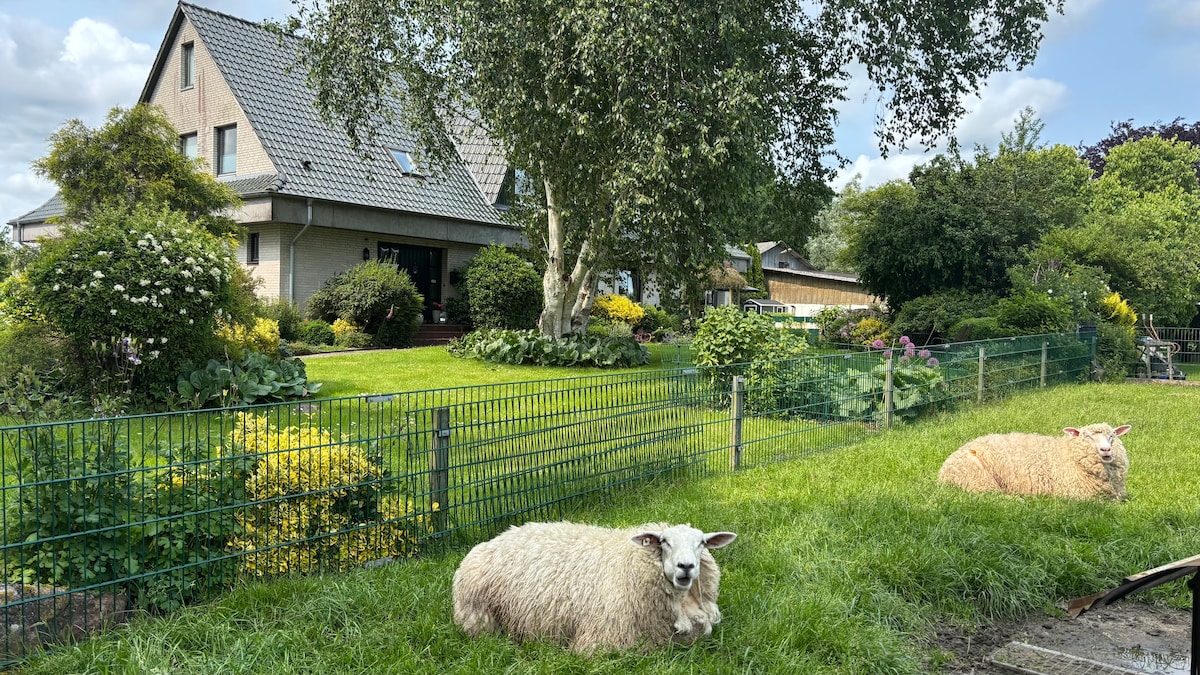 Two sheep rest in a green pasture, framed by a well-maintained garden filled with various plants and flowers. A spacious multi-story house is set in the background, its sloped roof and large windows providing a welcoming view. A tranquil atmosphere is depicted through the lush greenery.