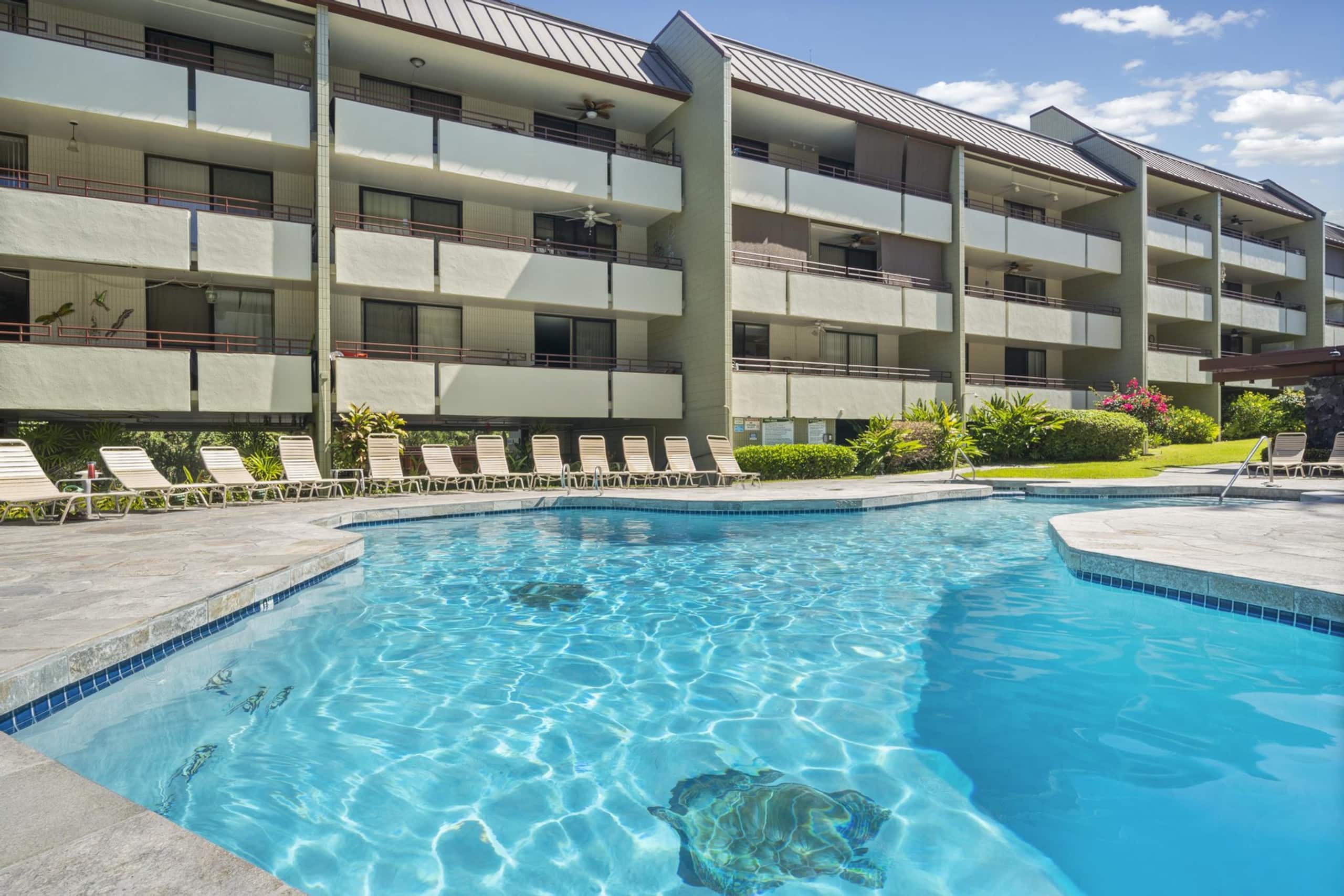 Magic Sands Beach, Central AC, Ocean View Condo - Photo 41