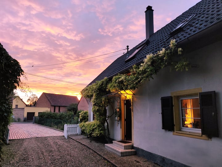 La Maison D’alice · Charme Rural, Calme & Jardin - Alsacia