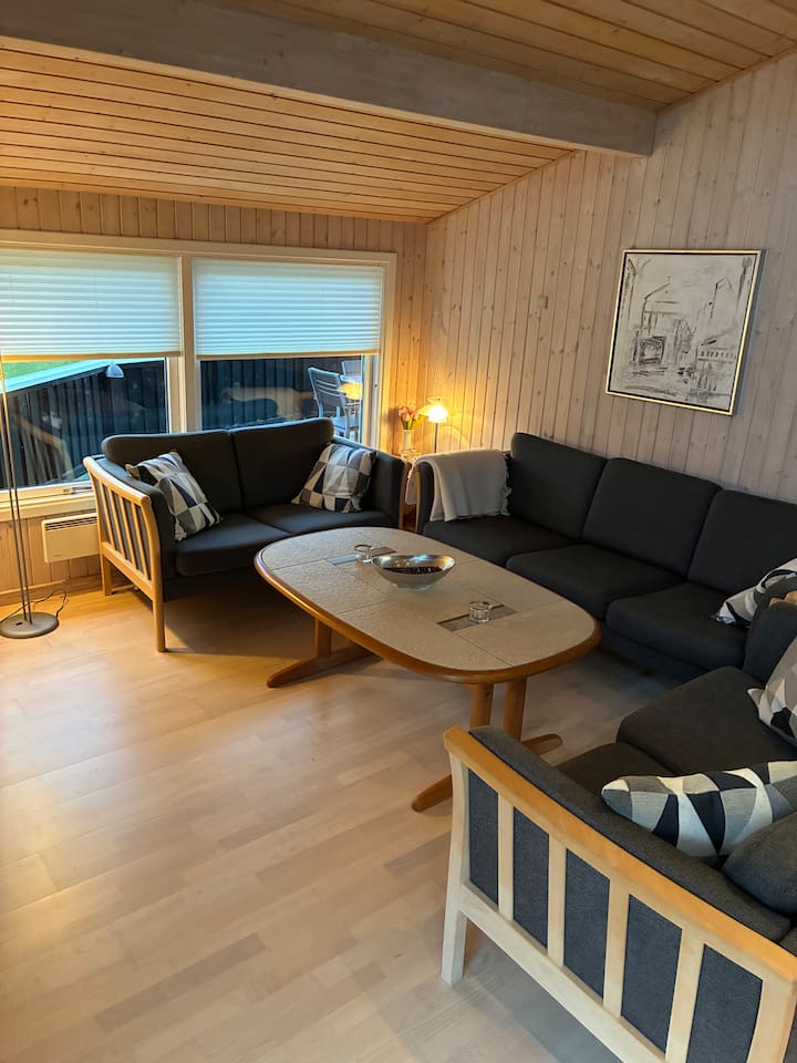 Forbrug Inkluderet. Sommerhus Med Spa Og Spil Rum - Hou