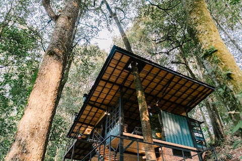 Successful Airbnb property: Tree Tops. Elevated refuge in San Simon forest in Valle De Bravo