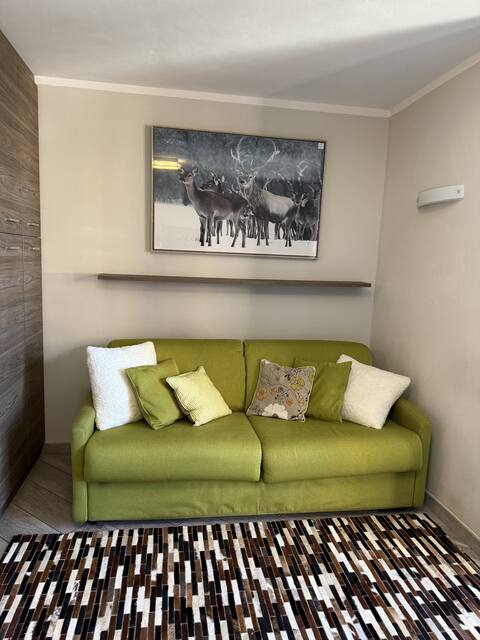 Cozy studio apartment within walking distance of the slopes