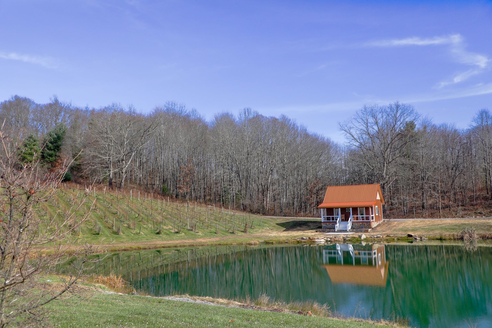 Bear Creek Cabin • Vineyard Views & Fishing Pond