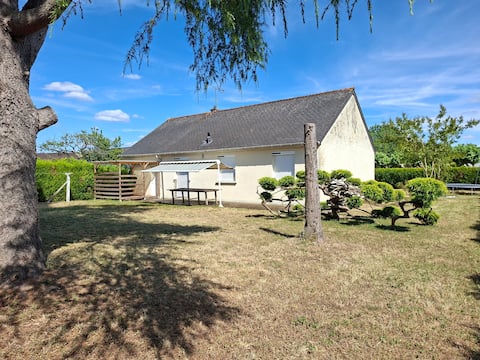 Successful Airbnb property: House with garden in Noyers Sur Cher