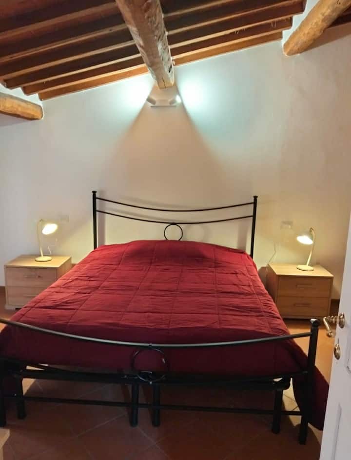 Zinfarosa Color_home - Foiano della Chiana