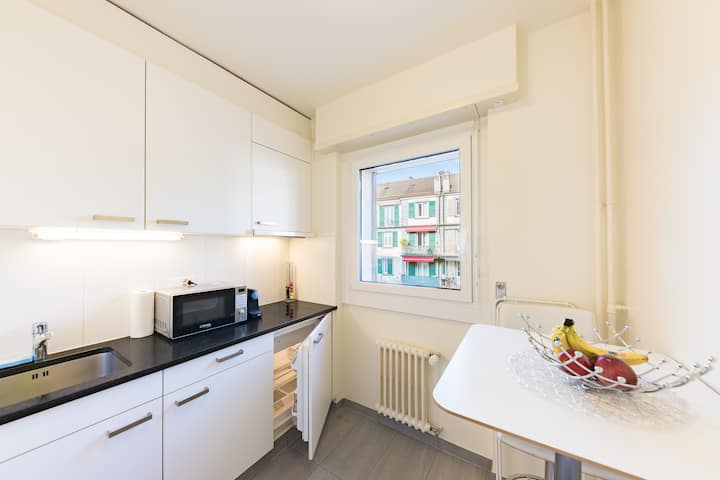 The Sleek Minimalist Lakefront - Lausanne