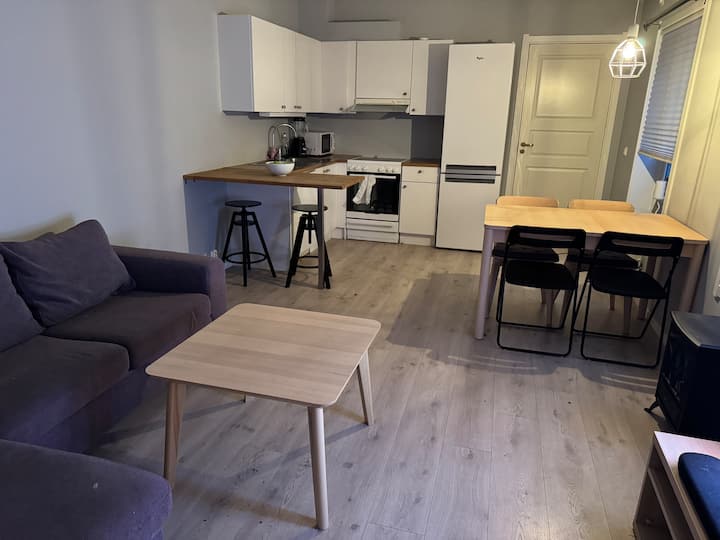 Hele Leiligheten Sentralt På Vålerenga - Oslo