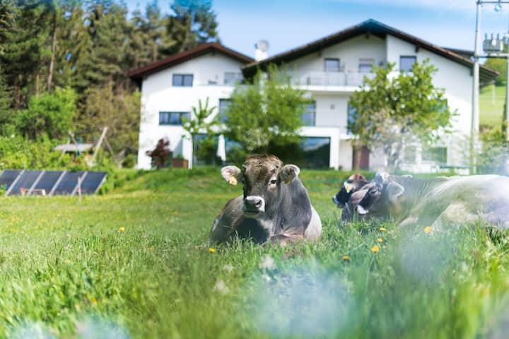 Haus Oberzöhr App 1 - Obereggen
