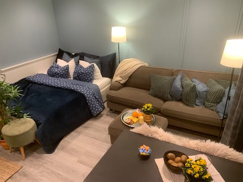 Top performing Airbnb: Oslonær Lillestrøm 5 min. walk to KRUS/train/OSL in Lillestrøm