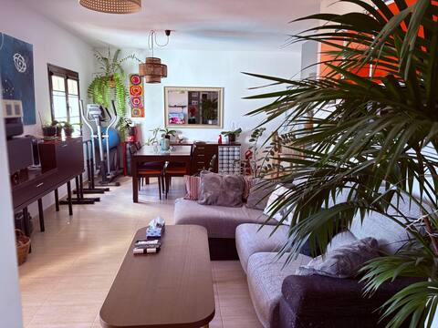 Top performing Airbnb: The palm tree of heaven in Teguise