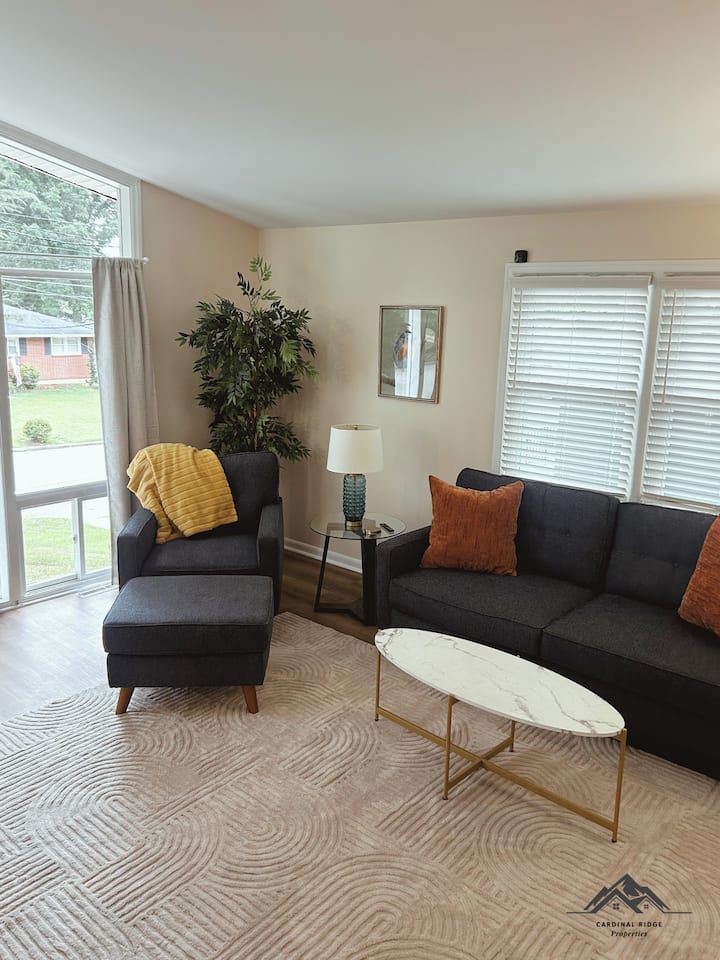 Mid-century Modern Beauty - Danville, VA