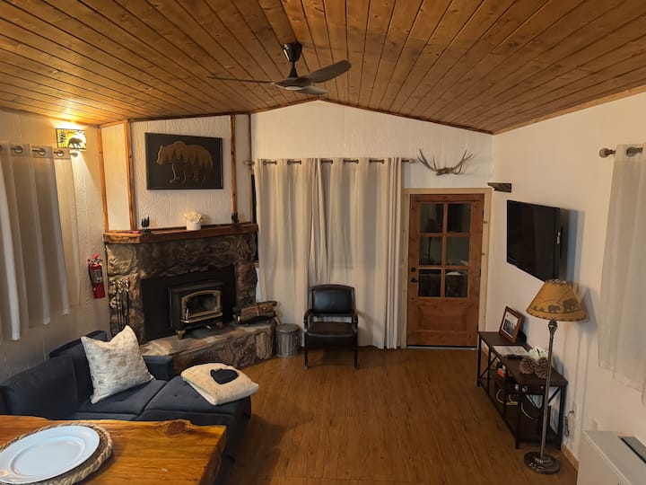 Bear Forest Cabin + Large Yard + Pet-friendly! - Big Bear City