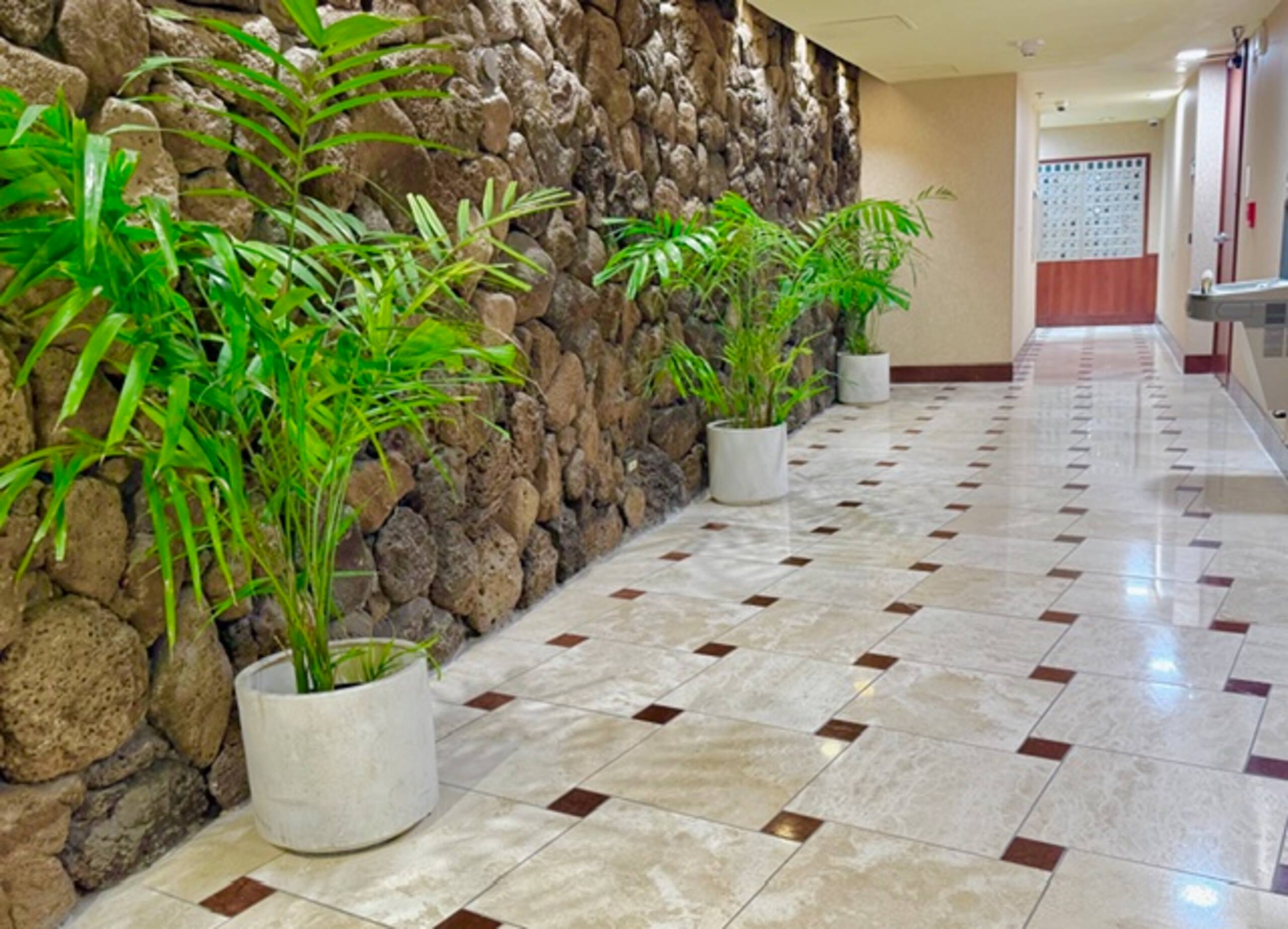 Condo in Honolulu · ★4.6 · Studio · 2 beds · 1 private bath - Image 23