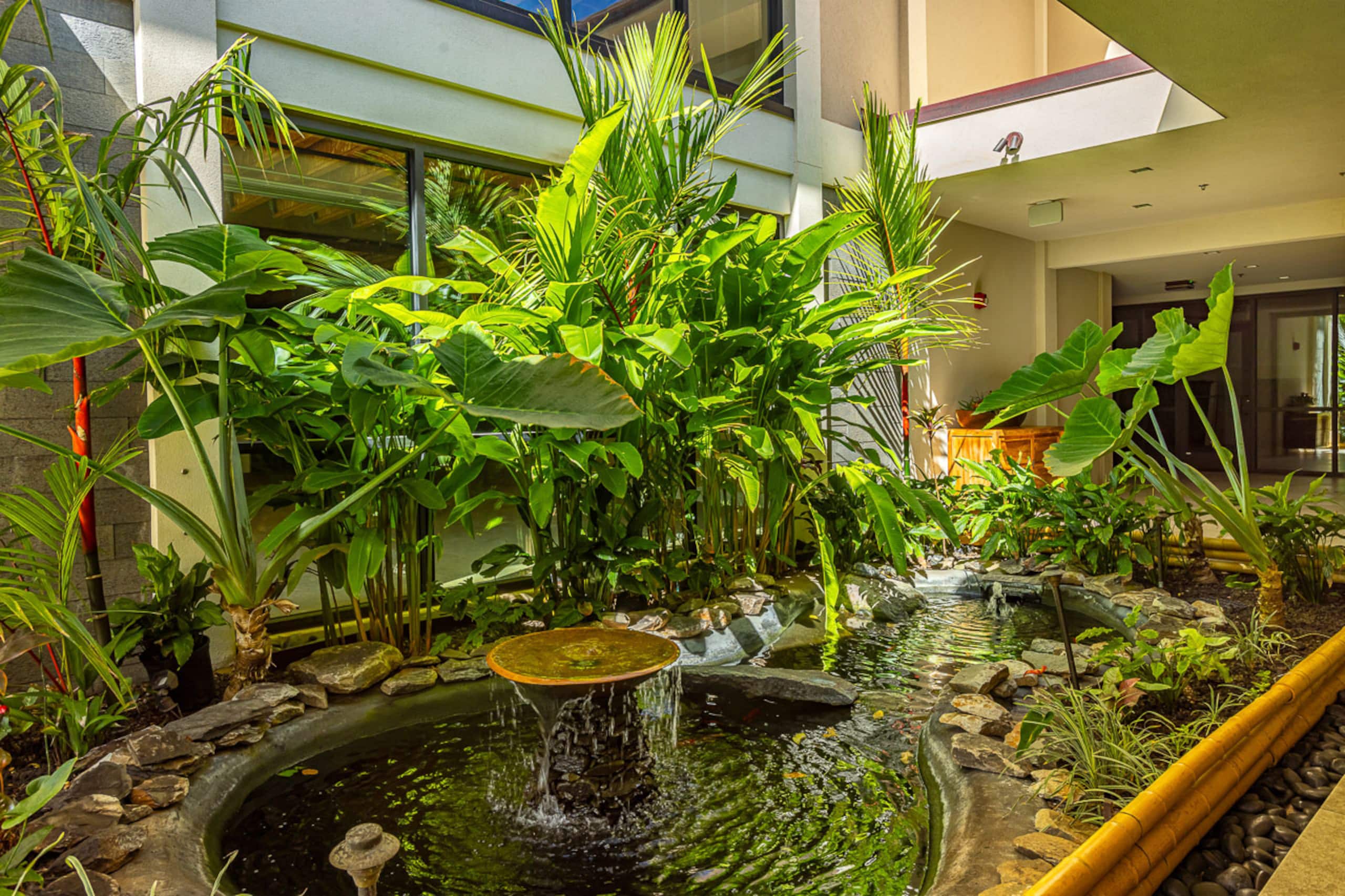 Condo in Lahaina · ★4.88 · 1 bedroom · 2 beds · 1 bath - Image 37