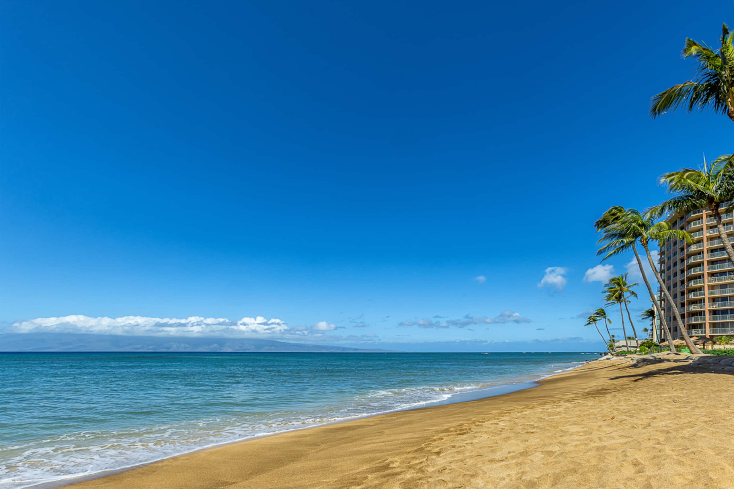 Condo in Lahaina · ★4.88 · 1 bedroom · 2 beds · 1 bath - Image 48