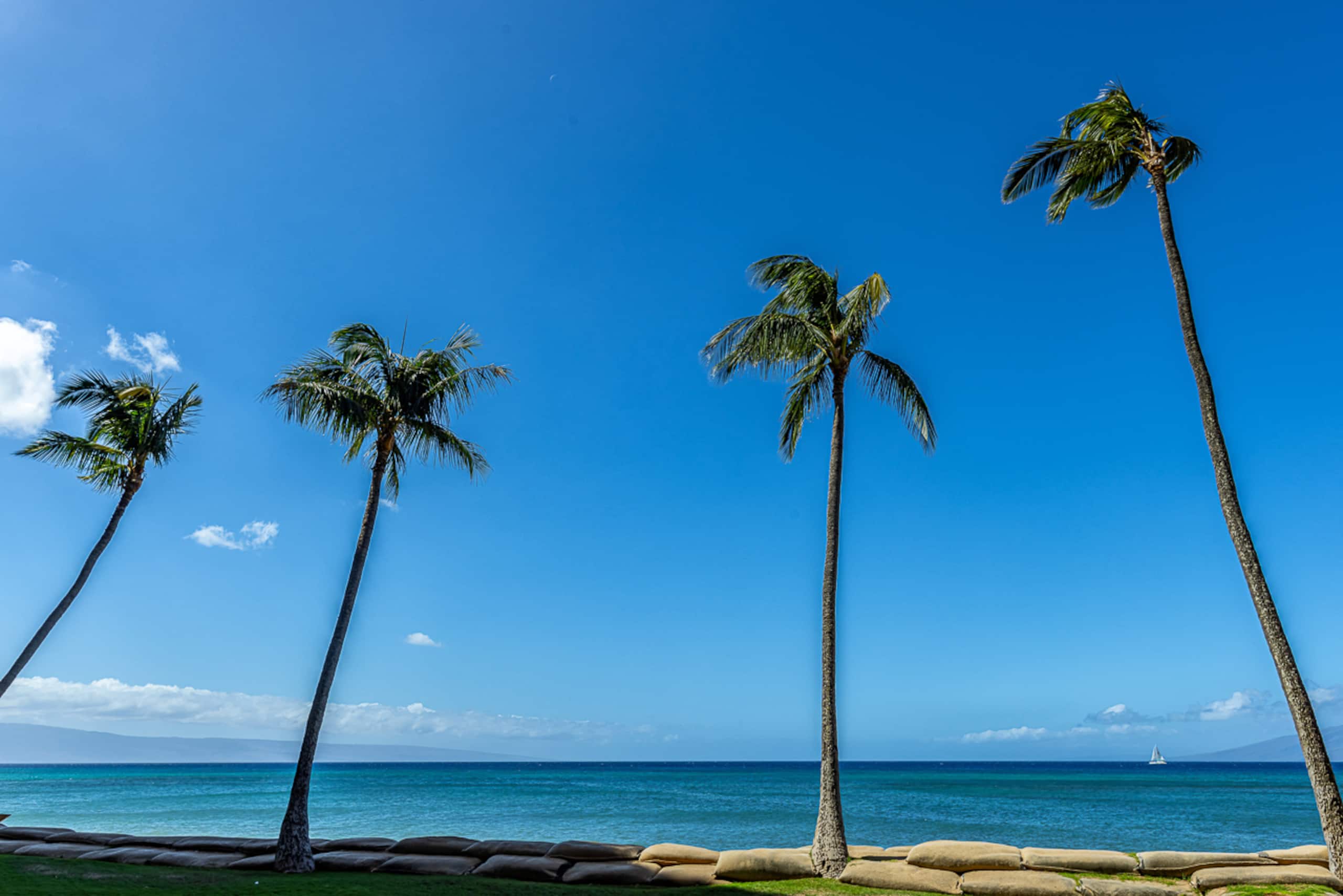 Condo in Lahaina · ★4.88 · 1 bedroom · 2 beds · 1 bath - Image 44