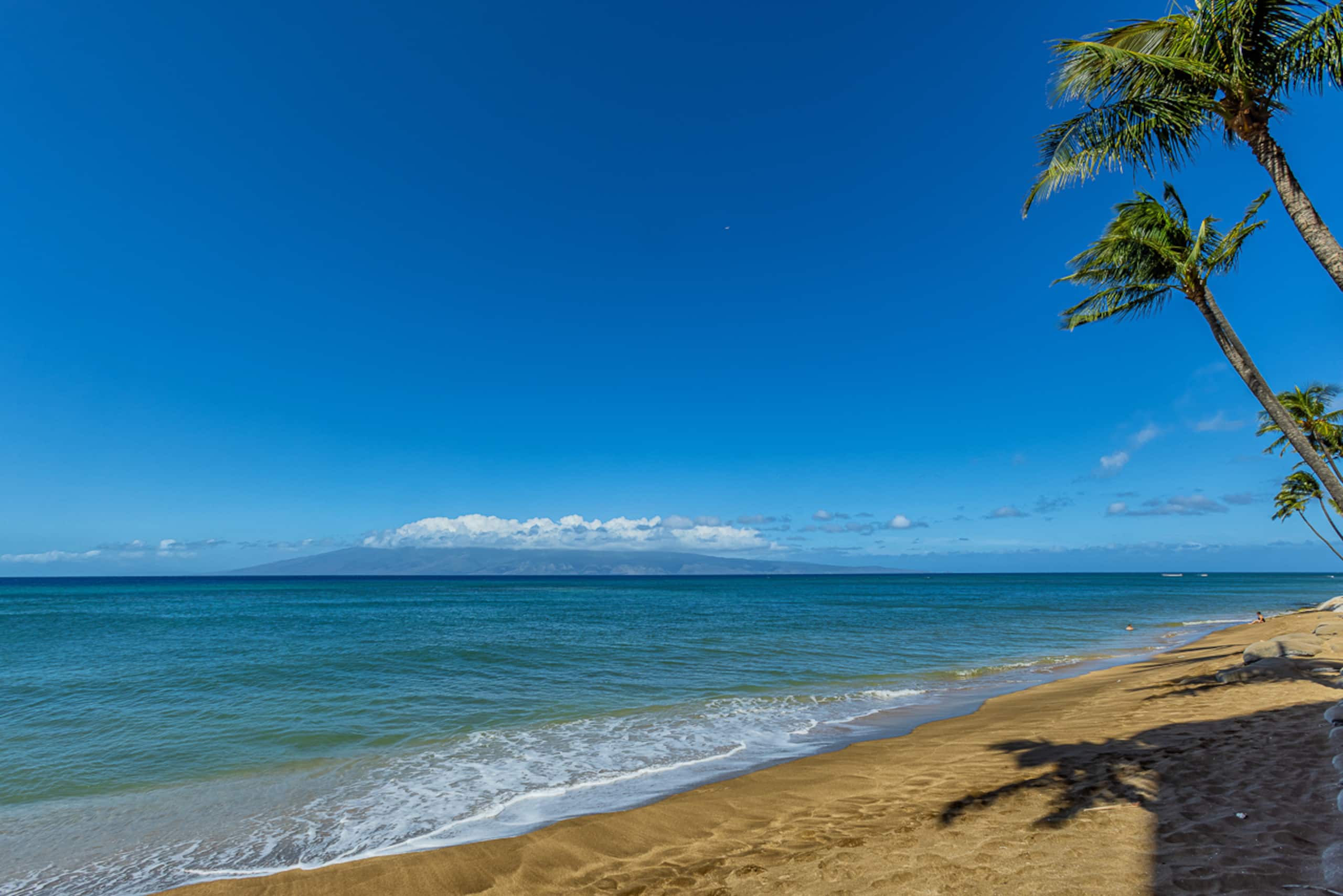Condo in Lahaina · ★4.88 · 1 bedroom · 2 beds · 1 bath - Image 46