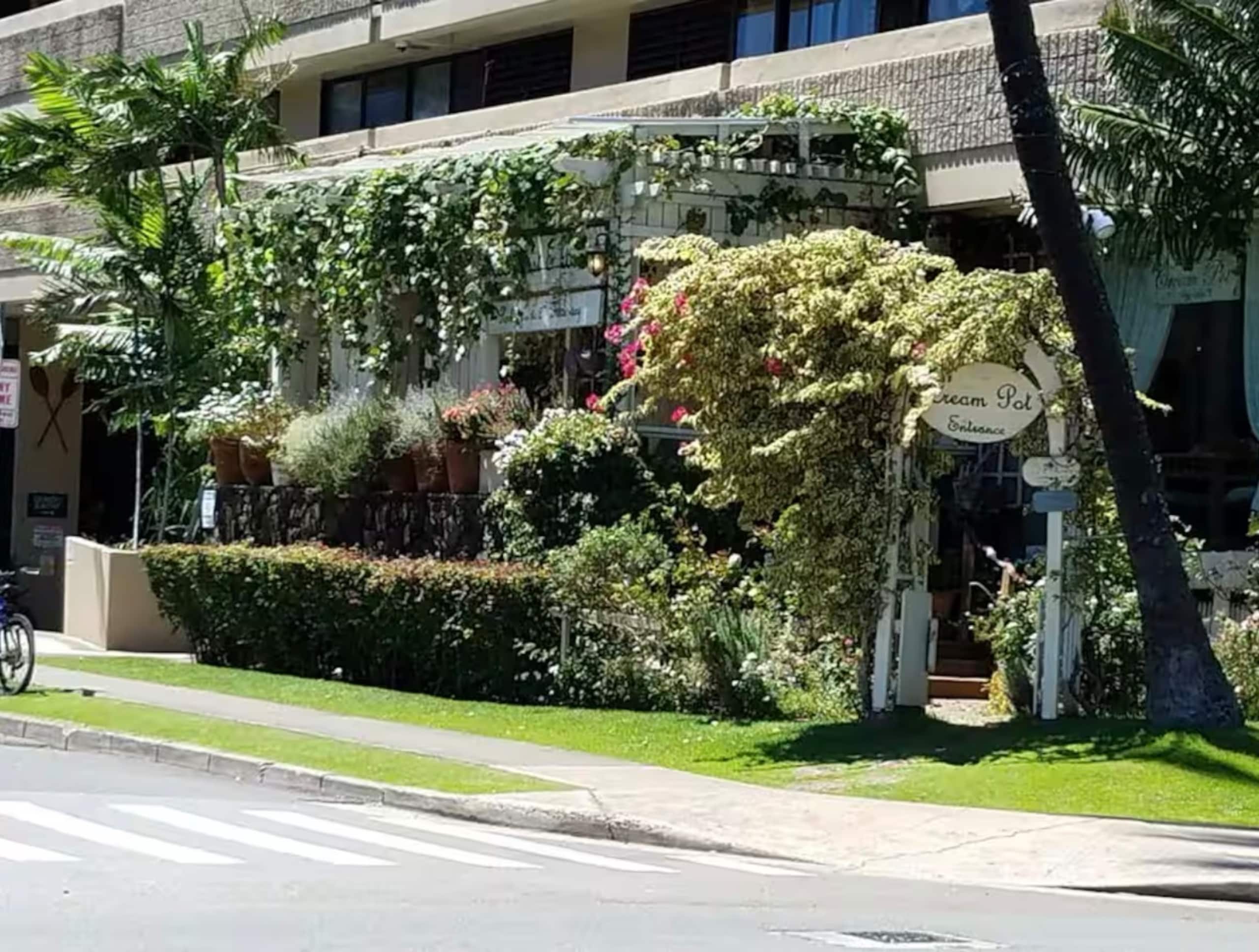 Condo in Honolulu · ★4.9 · 1 bedroom · 1 bed · 1 bath - Image 21