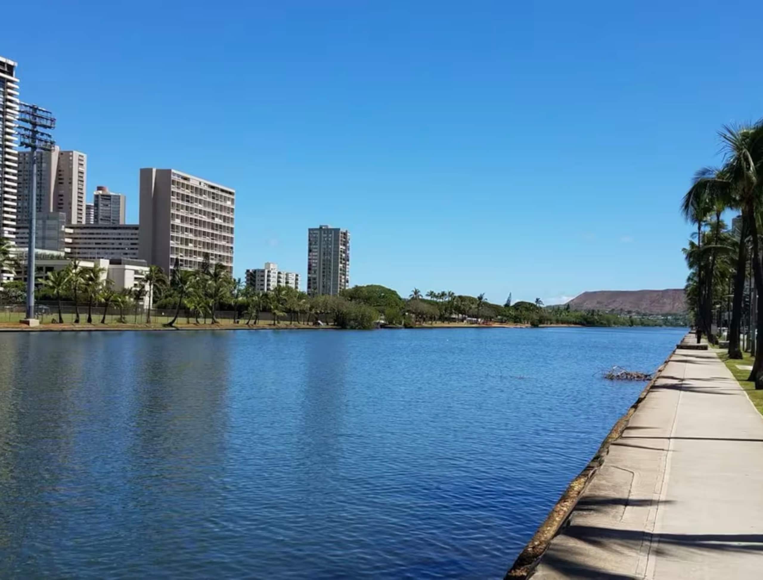 Condo in Honolulu · ★4.9 · 1 bedroom · 1 bed · 1 bath - Image 24