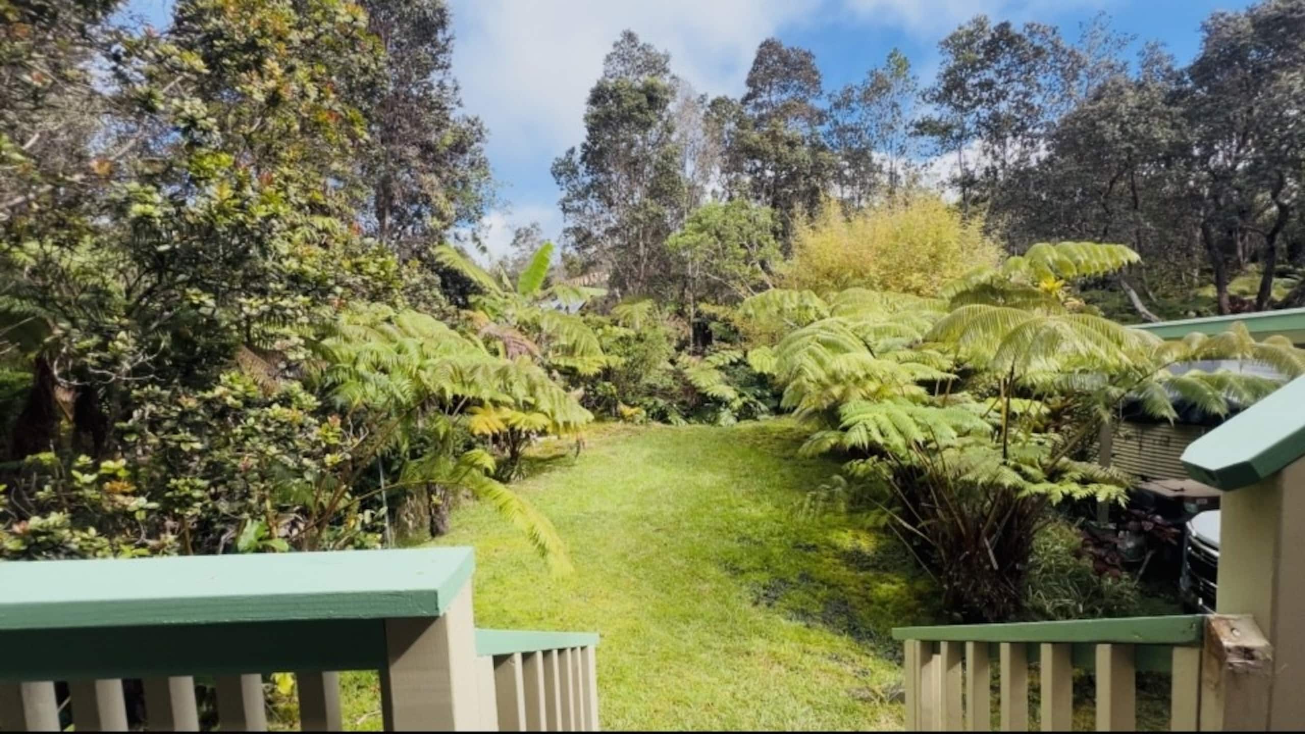 6 Min to Volcanoes NP | Fireplace + Cali King - Photo 28