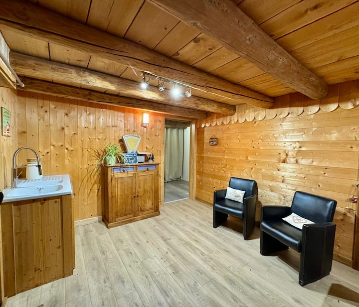 Appartement Indépendant Dans Maison De Caractère - La Roche-sur-Foron