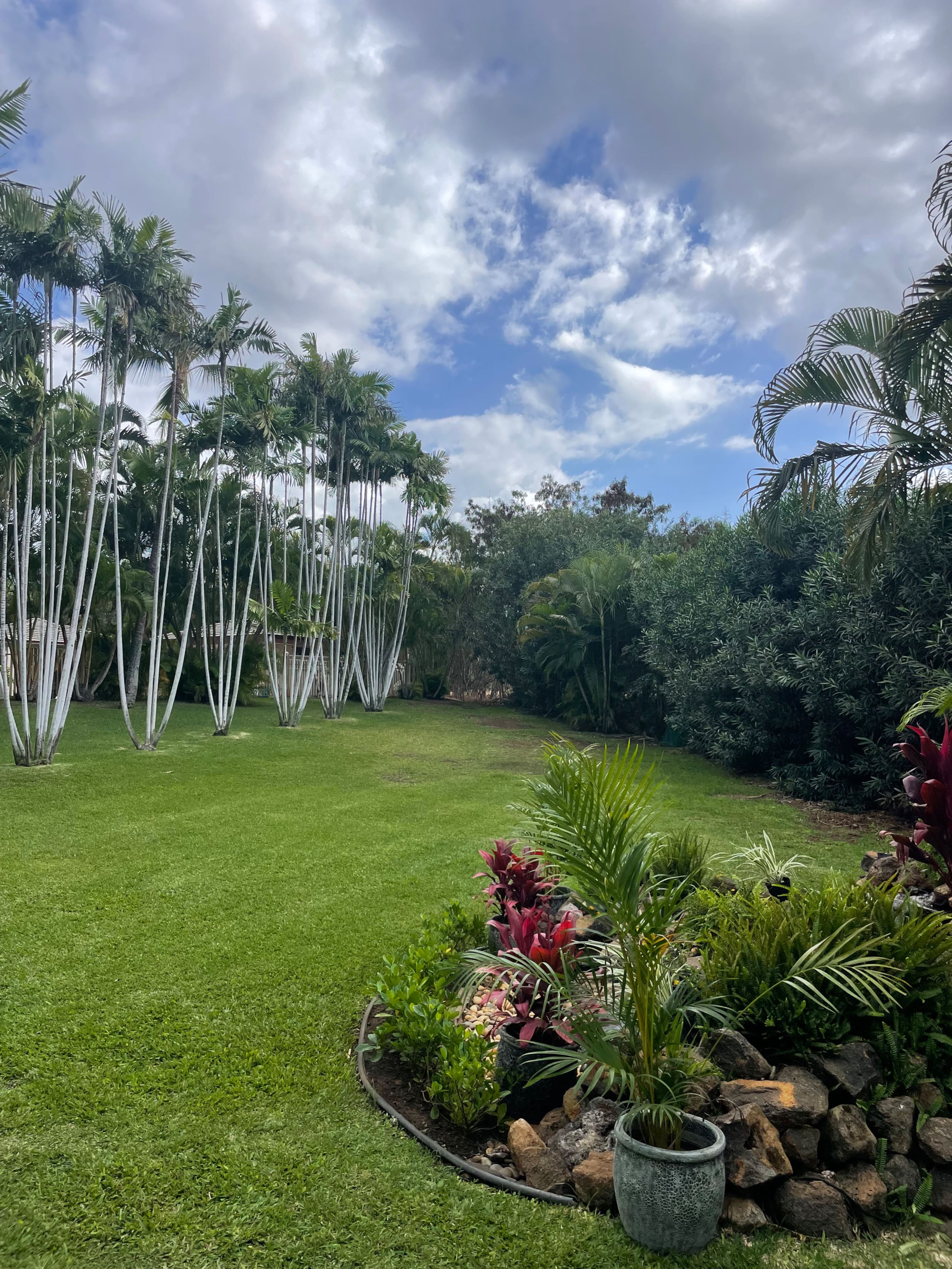 Maui Banyan beautiful 1 bed condo, Kihei, split AC - Image 20