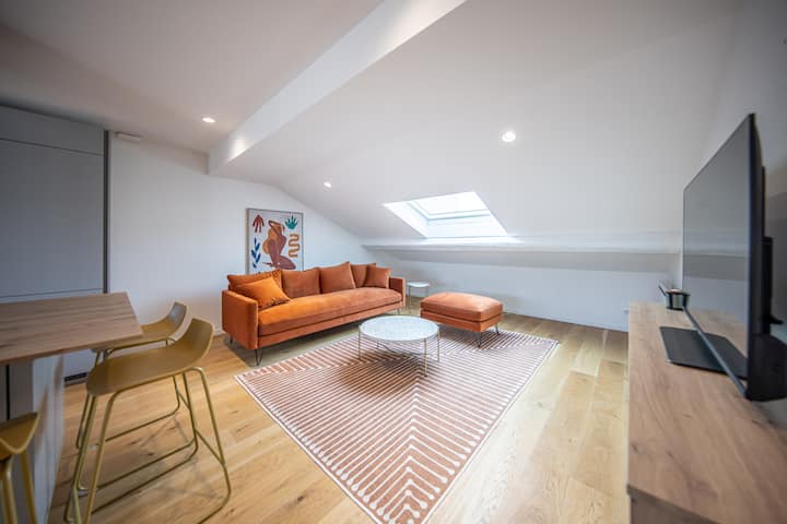 Loft Design Avec Toit-terrasse En Hyper Centre - Nancy