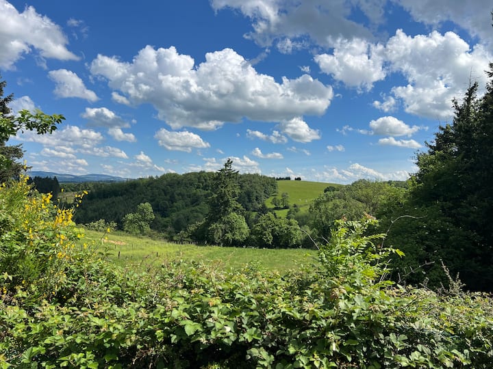 Grand Gîte A La Campagne Dans La Loire Au Calme - Roanne