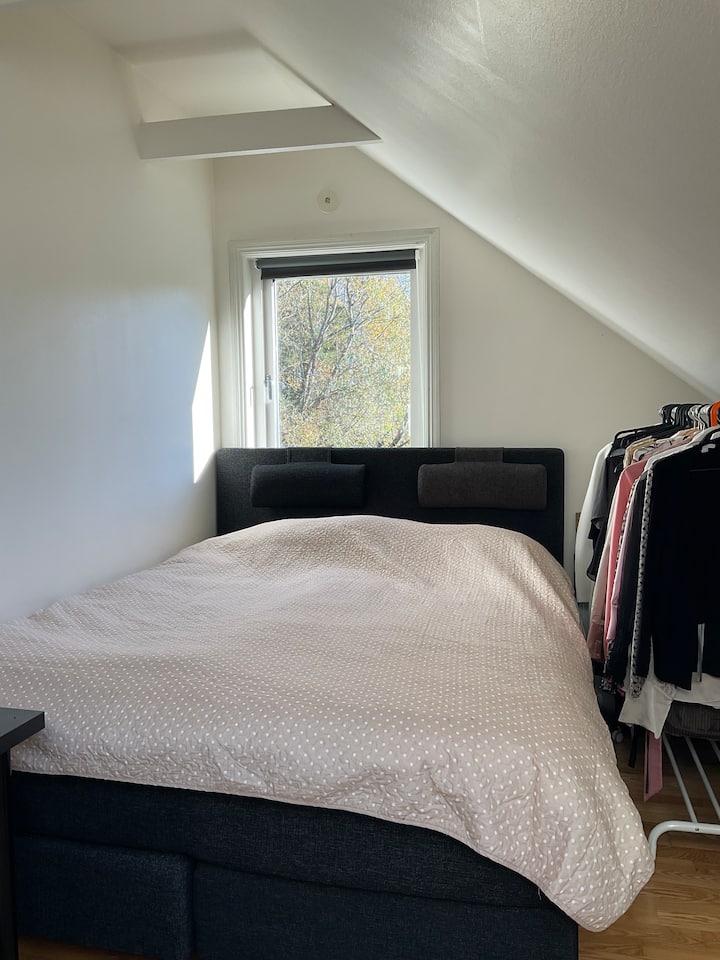 Habitación 4