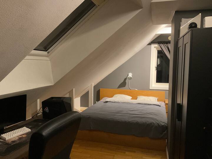 Habitación 5
