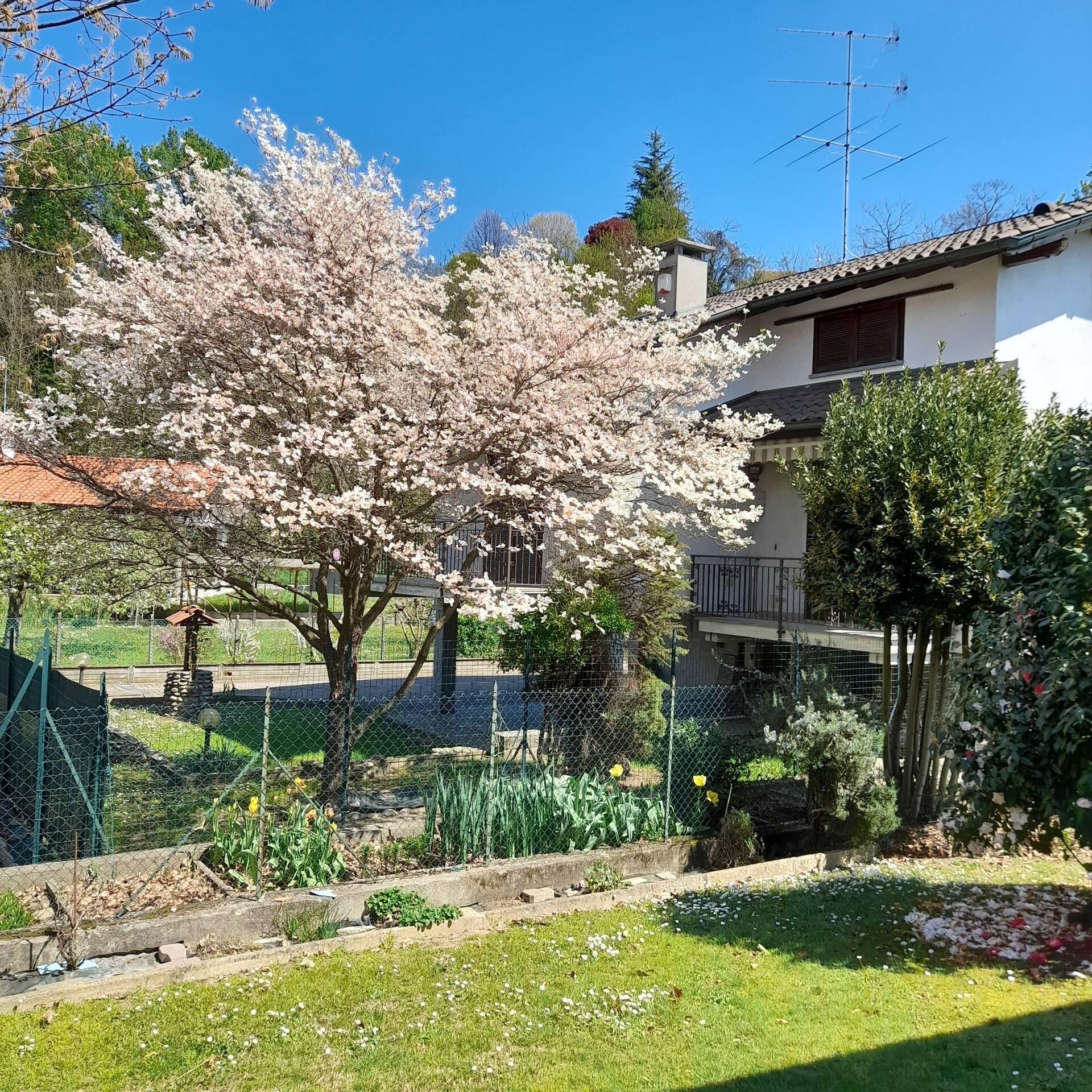 Il Vecchio Kiwi - House with private garden
