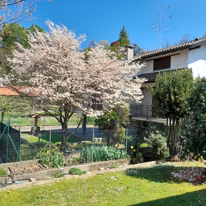 Il Vecchio Kiwi - Casa Con Giardino Privato - Borgomanero