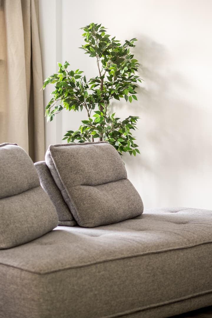 Spacious Downtown Gem | Steps From Metro & Food - Lasalle