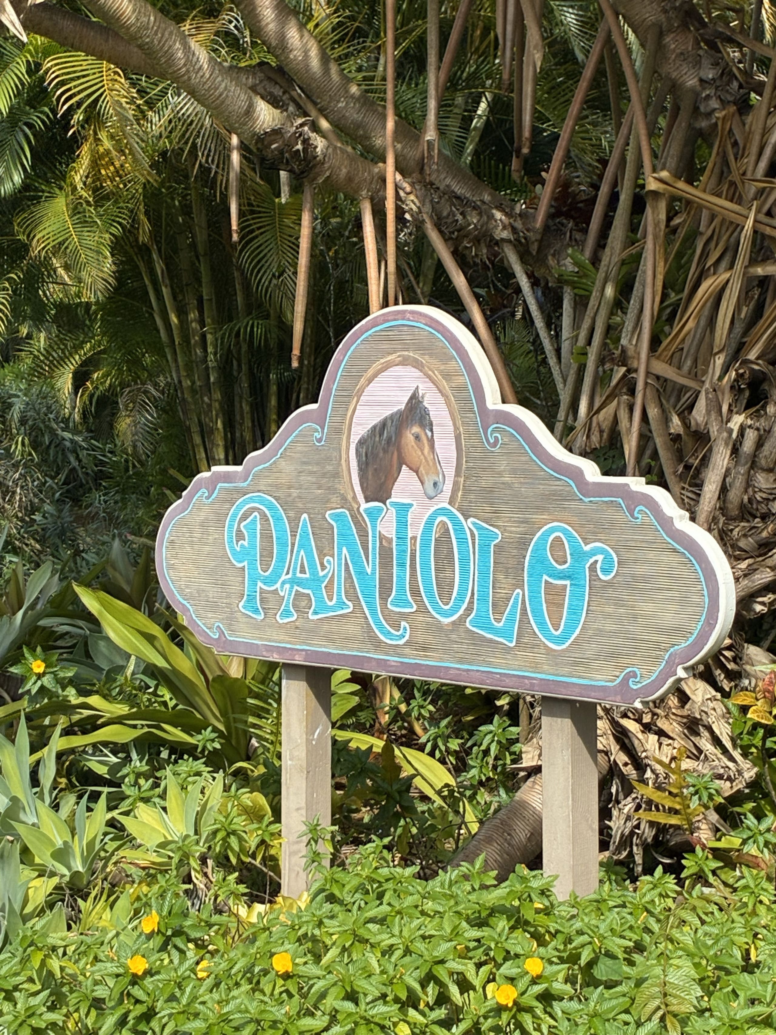 Tropical Getaway North Shore Princeville Studio - Image 15