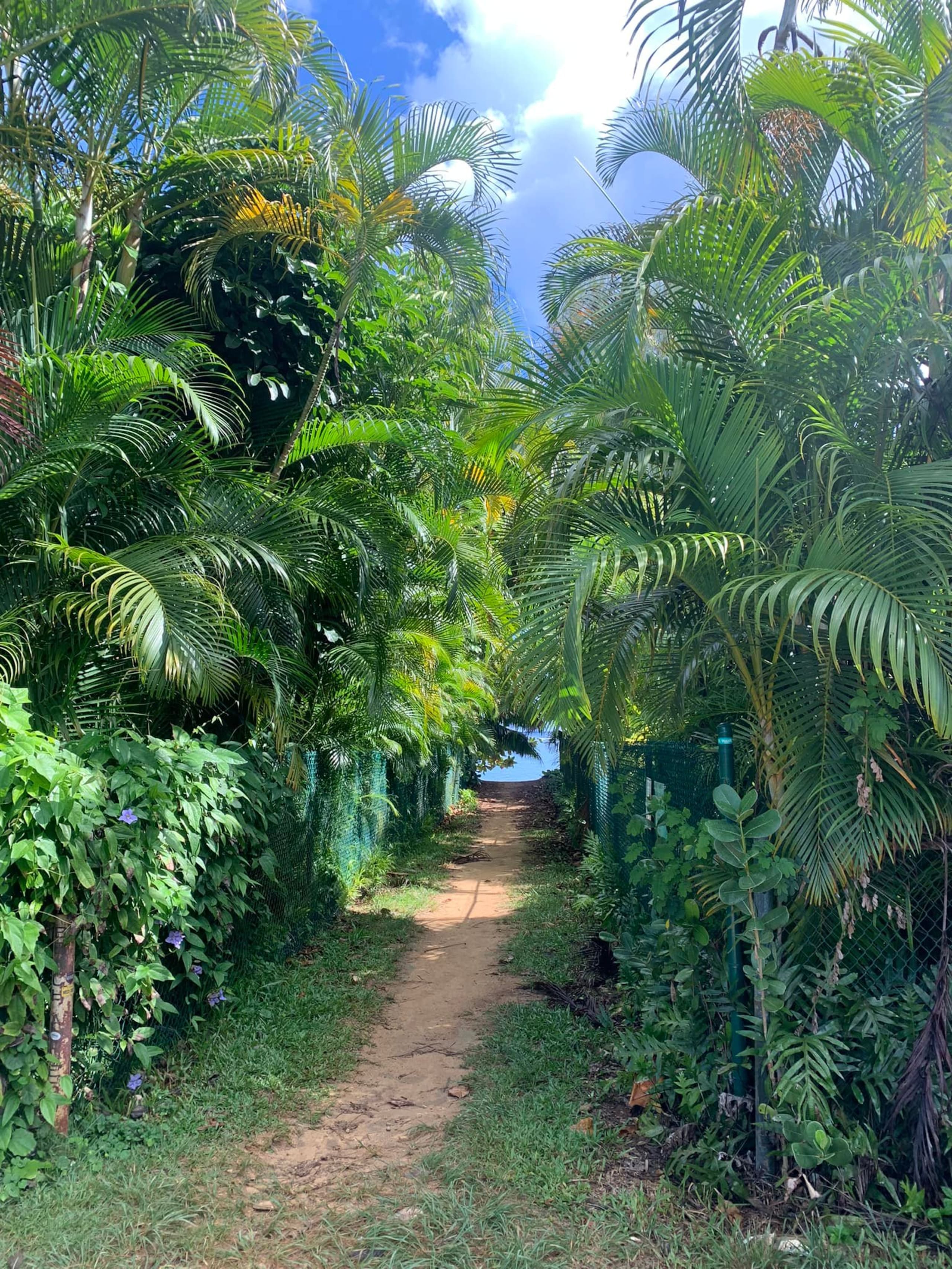 Tropical Getaway North Shore Princeville Studio - Image 24
