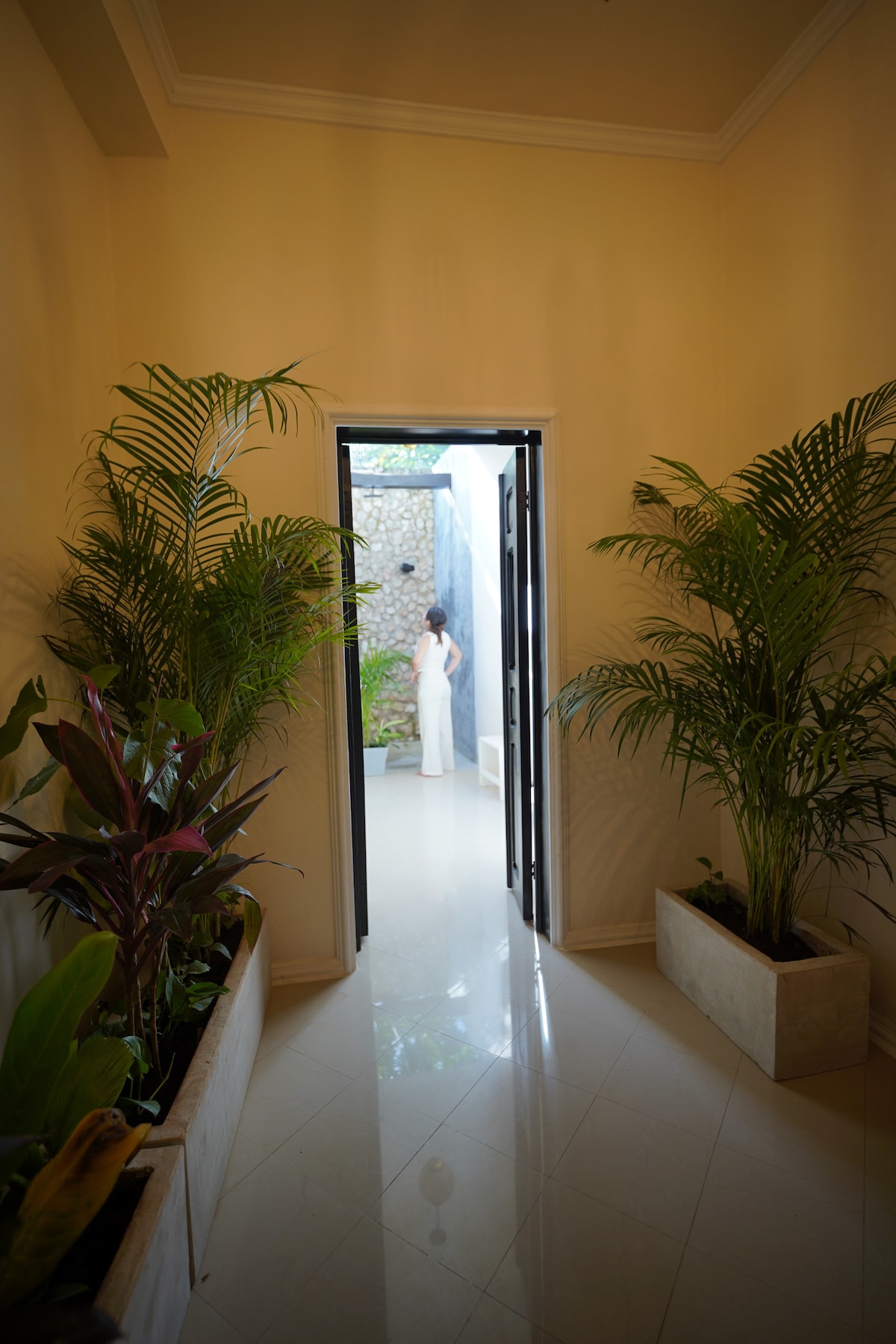 Colonial Room + Pool | Central