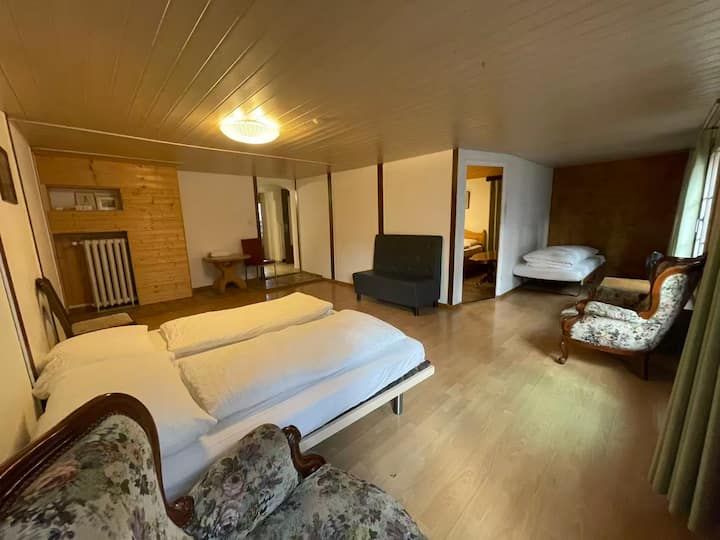 Interlaken Apartment 33-2 - إنترلاكن