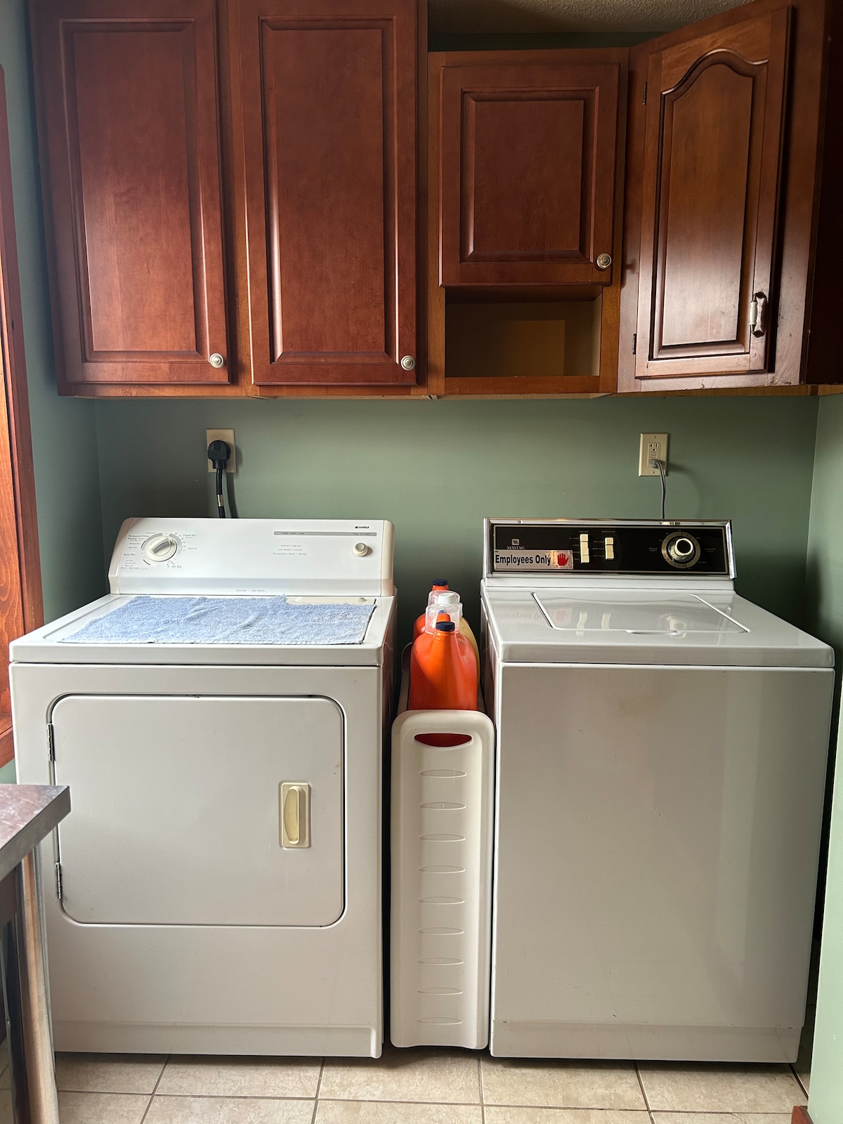 Laundry Area — Washer, Dryer & Supply Shelving