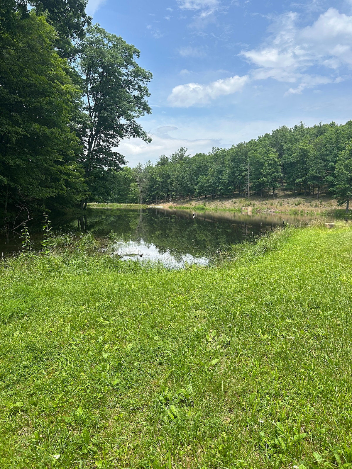 Private Fishing Pond Surrounded by Tall Trees