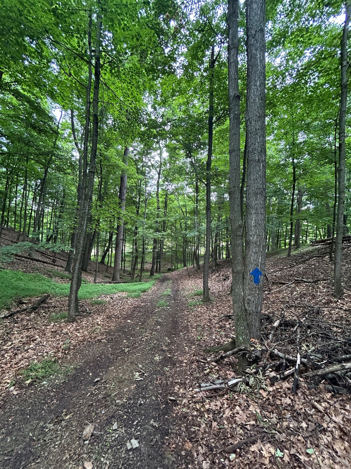 On-Property Wooded Walking Trails