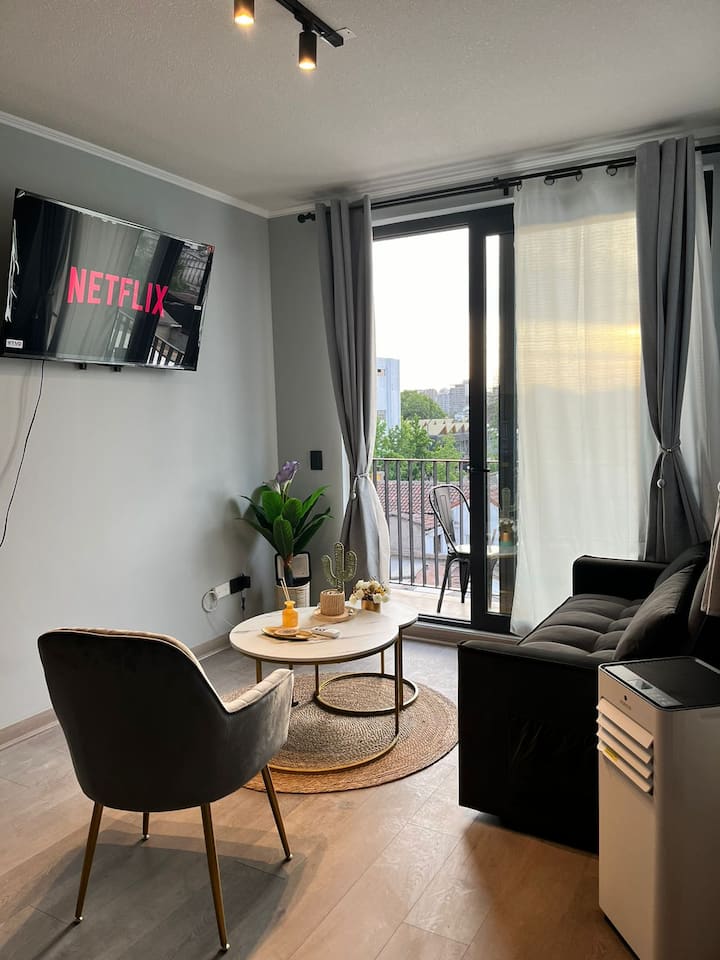 Modern Loft In Barrio Italia, Providencia - Providencia