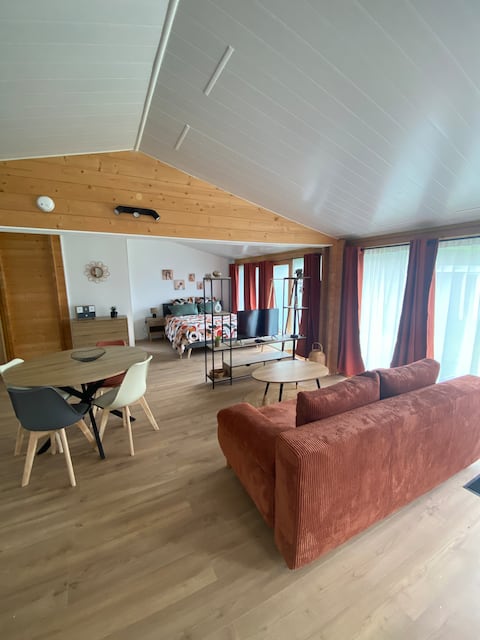 Successful Airbnb property: Independent air-conditioned chalet near Ain River in Ain
