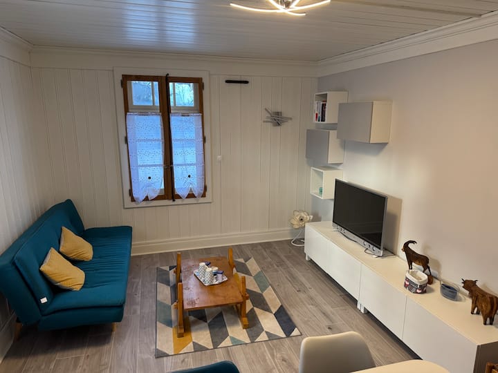 Revard/féclaz : Appart Cosy Proche Pistes - 40 M² - Lac du Bourget