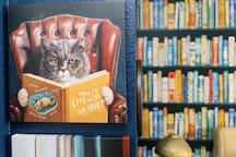 Not Your Basic Beach House