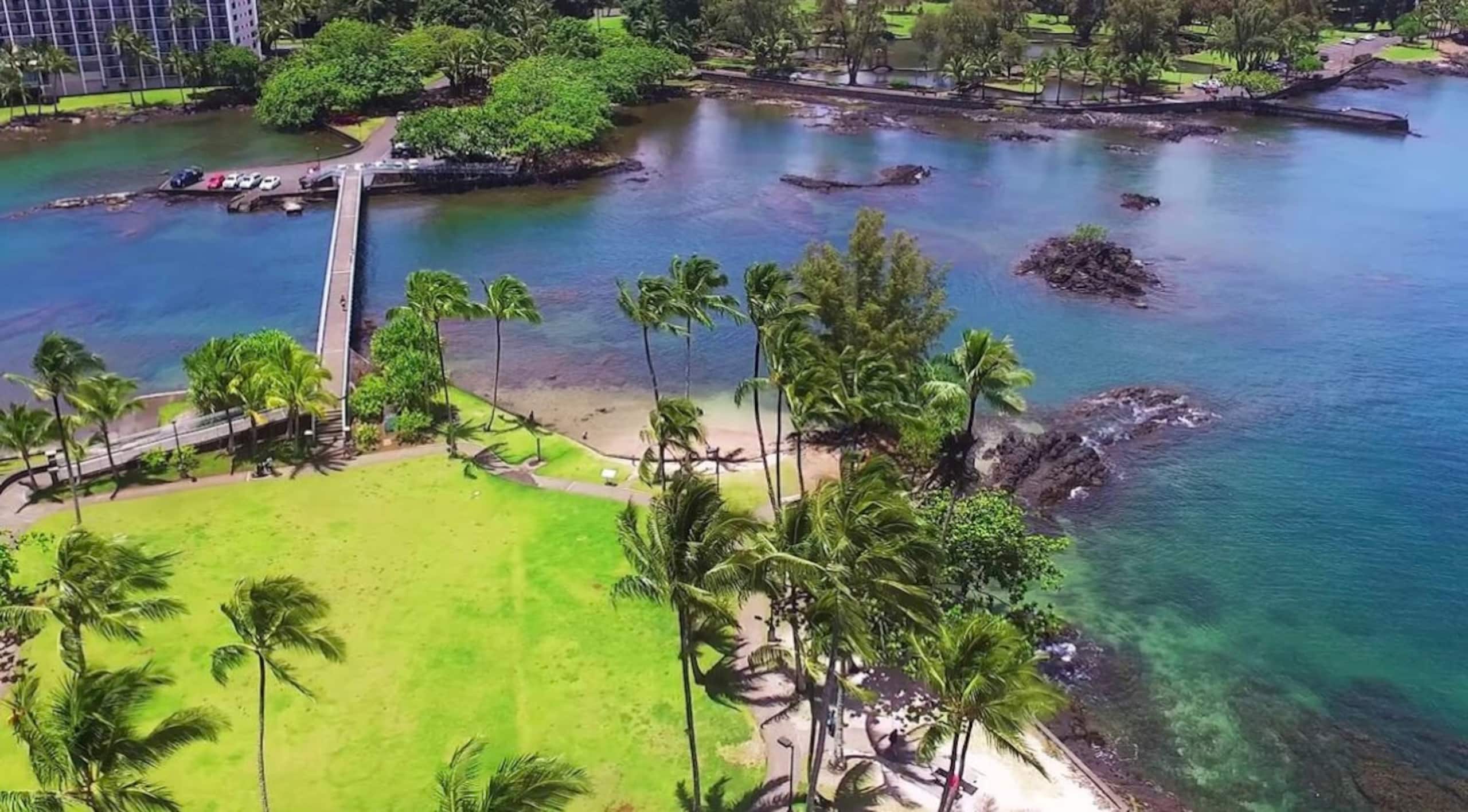 Home in Pahoa · ★4.78 · 3 bedrooms · 3 beds · 2 private baths - Image 80