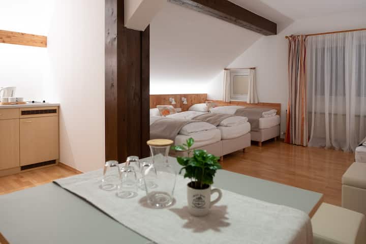 Apartment Mit Kitchenette - 薩爾斯堡