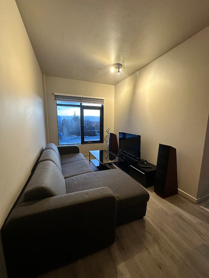 Cozy Apartment In Capital Region - Reykjavik