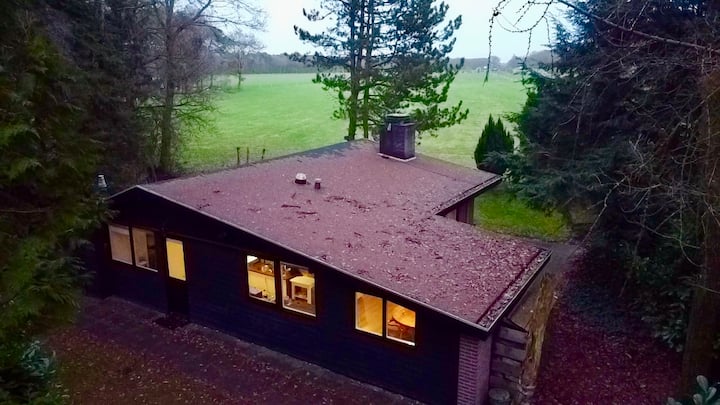 Boshuisje Overijssel - Ommen