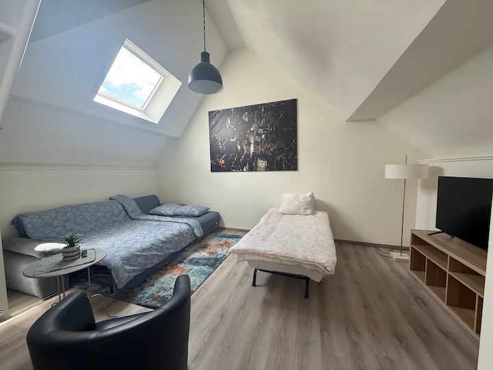 Spacious Studio In Maastricht - Near Mecc - Riemst