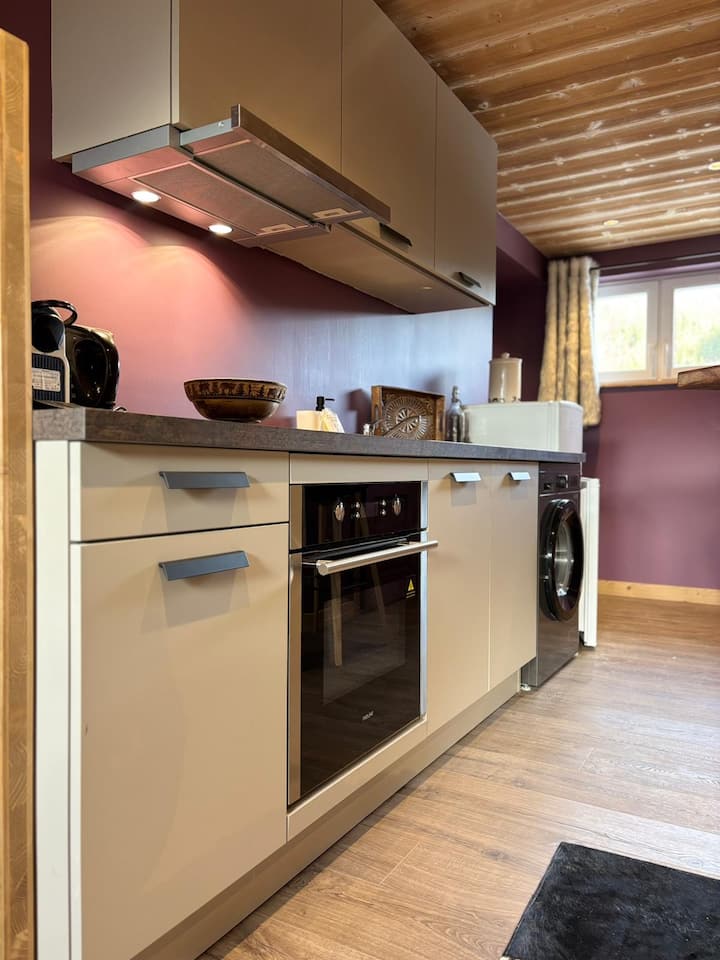 (23) Alpha Jet, Cozy Alpine Apartment In Montriond - Avoriaz